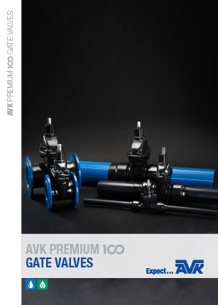 Premium 100 valves brochure